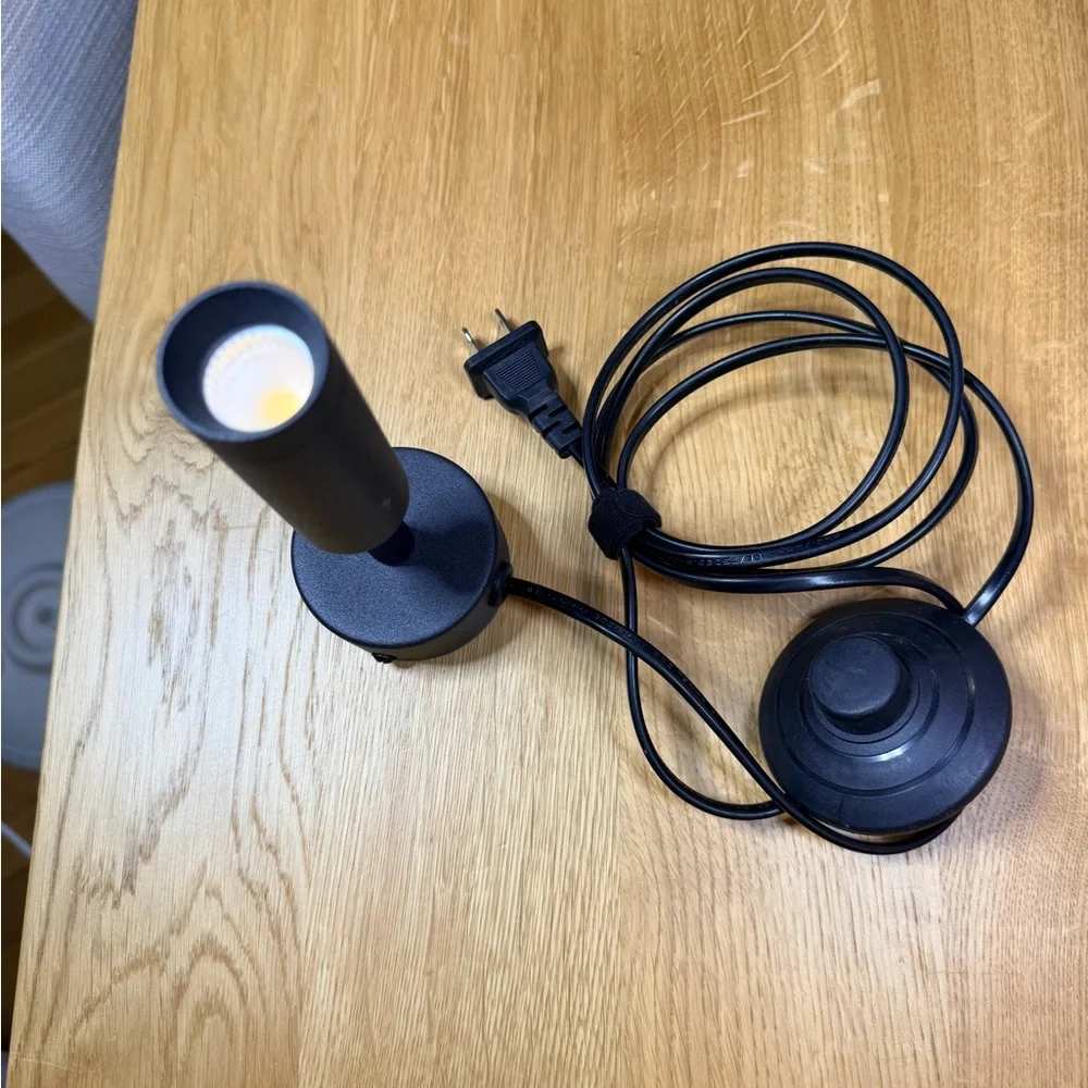 Black adjustable wall Mount plug in spot light with step on and off